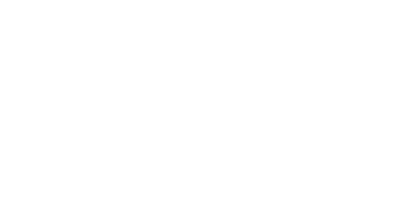Logo Flash Importados S.A.